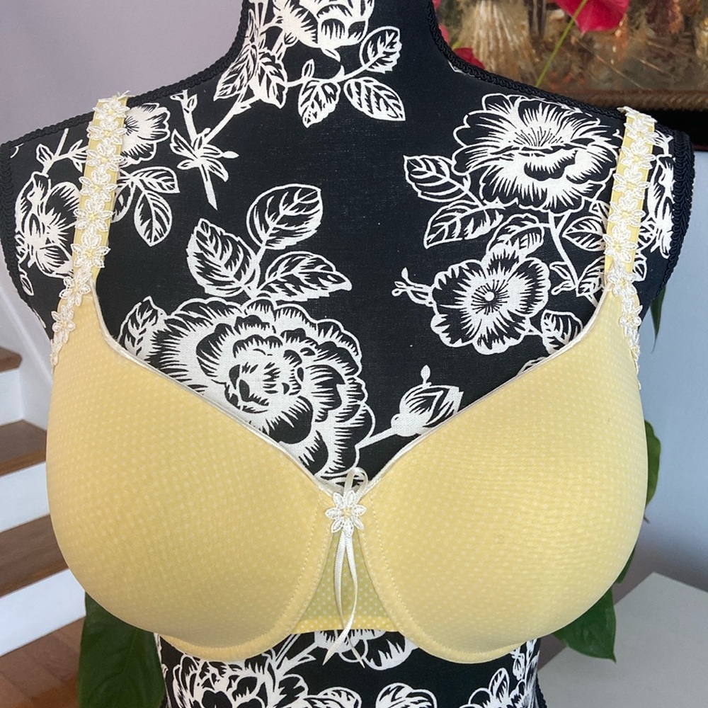 Beautiful summer bra